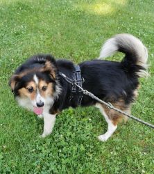 Schmusebacke Flori sucht seine Familie